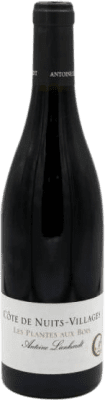 Antoine Lienhardt Les Plantes au Bois Pinot Noir Villages Eco — Biologique 75 cl