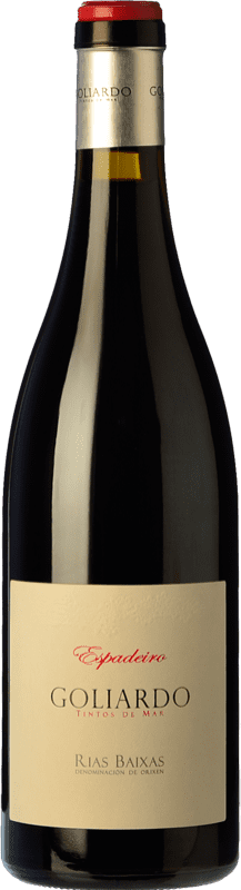 39,95 € Free Shipping | Red wine Forjas del Salnés Goliardo Aged D.O. Rías Baixas Galicia Spain Espadeiro Bottle 75 cl