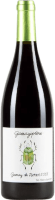 Antoine Lienhardt Optère Gamay 75 cl