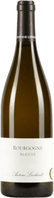 19,95 € Envoi gratuit | Vin blanc Antoine Lienhardt A.O.C. Bourgogne Aligoté Bourgogne France Aligoté Bouteille 75 cl