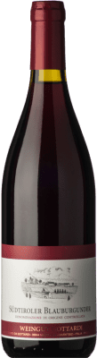48,95 € Envío gratis | Vino tinto Gottardi Blauburgunder Mazzon D.O.C. Alto Adige Trentino-Alto Adige Italia Pinot Negro Botella 75 cl