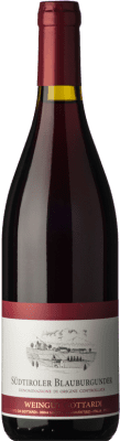 34,95 € Envio grátis | Vinho Tinto Gottardi Mazzon D.O.C. Alto Adige Trentino-Alto Adige Itália Pinot Noir 75 cl