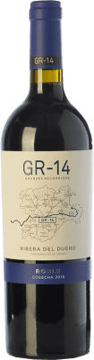 12,95 € Envío gratis | Vino tinto Gran del Siurana GR-14 Roble D.O. Ribera del Duero Castilla y León España Tempranillo Botella 75 cl