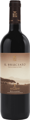 37,95 € Бесплатная доставка | Красное вино Guado al Tasso Il Bruciato D.O.C. Bolgheri Тоскана Италия Merlot — Мерло, Syrah — Сира, Cabernet Sauvignon — Каберне Совиньон 75 cl