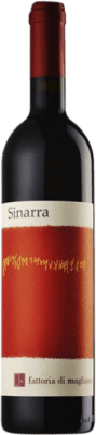 21,95 € Spedizione Gratuita | Vino rosso Fattoria di Magliano Sinarra D.O.C. Maremma Toscana Toscana Italia Sangiovese Biologico Bottiglia 75 cl