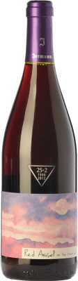26,95 € Бесплатная доставка | Красное вино Jermann Red Angel I.G.T. Friuli-Venezia Giulia Фриули-Венеция-Джулия Италия Pinot Black бутылка 75 cl