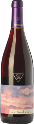 Jermann Red Angel Pinot Black 75 cl