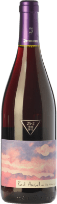 27,95 € Envio grátis | Vinho Tinto Jermann Angel I.G.T. Friuli - Venezia Giulia Friuli-Venezia Giulia Itália Pinot Noir 75 cl