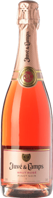 Juvé y Camps Rosé Pinot Schwarz Brut Jung 75 cl