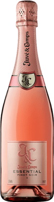 Juvé y Camps Essential Rosé Pinot Black 香槟 年轻的 75 cl