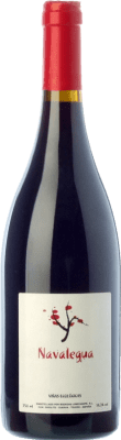 7,95 € Free Shipping | Red wine Lobecasope Navalegua Young Spain Grenache Bottle 75 cl