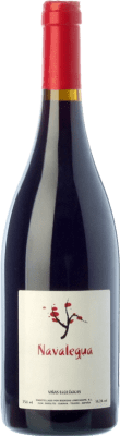 7,95 € Envoi gratuit | Vin Rouge Lobecasope Navalegua Jeune Espagne Garnacha — Grenache 75 cl