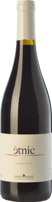 Masroig Ètnic Crianza 75 cl