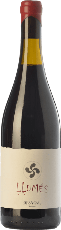 17,95 € Envío gratis | Vino Tinto Obanca Llumés Crianza España Verdejo Botella 75 cl