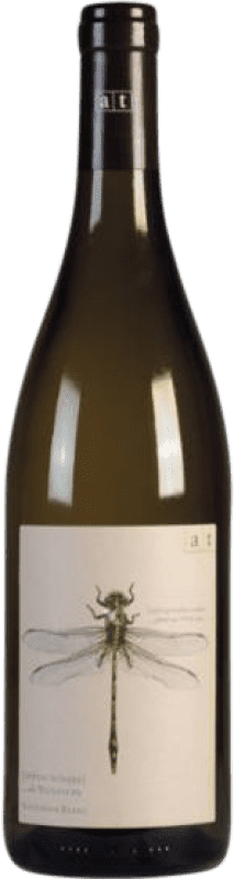 46,95 € Envio grátis | Vinho branco Andreas Tscheppe Green Dragonfly Estiria Áustria Sauvignon Branca Garrafa 75 cl