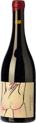 Oxer Wines Artillero Tempranillo 岁 75 cl