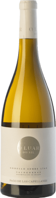 16,95 € Kostenloser Versand | Weißwein Pago de los Capellanes O Luar Do Sil D.O. Valdeorras Galizien Spanien Godello Flasche 75 cl