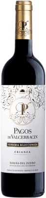 15,95 € Envio grátis | Vinho Tinto Pagos de Valcerracín Crianza D.O. Ribera del Duero Castela e Leão Espanha Tempranillo 75 cl