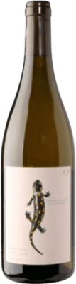 44,95 € Envío gratis | Vino blanco Andreas Tscheppe Salamander Estiria Austria Chardonnay Botella 75 cl