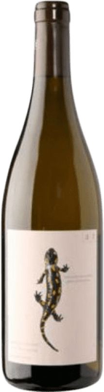 46,95 € 送料無料 | 白ワイン Andreas Tscheppe Salamander Estiria オーストリア Chardonnay — シャルドネ Eco — エコ ビオ オーガニック 75 cl