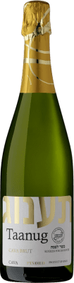 12,95 € Envio grátis | Espumante branco Pinord Taanug Brut D.O. Cava Catalunha Espanha Macabeo, Xarel·lo, Parellada Garrafa 75 cl