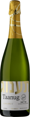 12,95 € Envío gratis | Espumoso Blanco Pinord Taanug Brut D.O. Cava Cataluña España Macabeo, Xarel·lo, Parellada 75 cl