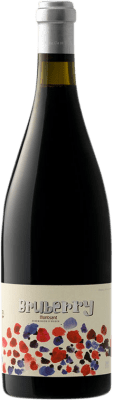 14,95 € Free Shipping | Red wine Portal del Montsant Bruberry Young D.O. Montsant Catalonia Spain Syrah, Grenache, Carignan Bottle 75 cl