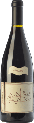 79,95 € Бесплатная доставка | Красное вино Quinta da Pellada Carrocel Crianza — Крианса I.G. Dão Дау Португалия Touriga Nacional 75 cl