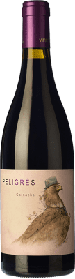 Bernabé Peligres Garnacha — グルナッシュ 若い 75 cl