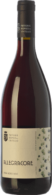 25,95 € Spedizione Gratuita | Vino Rosso Romeo del Castello Allegracore D.O.C. Etna Sicilia Italia Nerello 75 cl