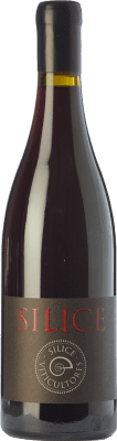 15,95 € Free Shipping | Red wine Sílice Joven Spain Mencía, Grenache Tintorera, Brancellao, Merenzao Bottle 75 cl