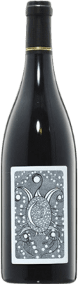 27,95 € Envío gratis | Vino tinto Julien Courtois Elements Loire Francia Gamay Botella 75 cl
