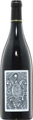 29,95 € Envío gratis | Vino Tinto Julien Courtois Elements Loire Francia Gamay Eco — Ecológico 75 cl