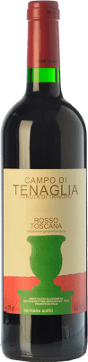 96,95 € Envío gratis | Vino tinto Tenuta di Trinoro Campo di Tenaglia I.G.T. Toscana Toscana Italia Cabernet Franc Botella 75 cl