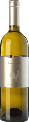 27,95 € Envío gratis | Vino blanco Trossos del Priorat Llum d'Alba D.O.Ca. Priorat Cataluña España Garnacha Blanca, Viognier, Macabeo Botella 75 cl
