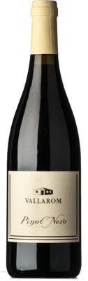 25,95 € Free Shipping | Red Wine Vallarom I.G.T. Vallagarina Trentino Italy Pinot Noir Eco — Organic 75 cl
