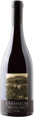 51,95 € Free Shipping | Red wine Valtuille Cabanelas Aged D.O. Bierzo Castilla y León Spain Mencía Bottle 75 cl