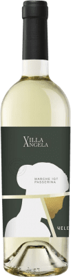 19,95 € Envio grátis | Vinho Branco Velenosi Villa Angela I.G.T. Marche Marche Itália Passerina 75 cl