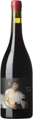 19,95 € 送料無料 | 赤ワイン Clos du Rouge Gorge Hors Champ Une Vie La Nuit I.G.P. Vin de Pays Côtes Catalanes ラングドックルシヨン フランス Syrah ボトル 75 cl