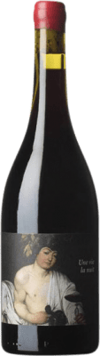 19,95 € Spedizione Gratuita | Vino rosso Clos du Rouge Gorge Hors Champ Une Vie La Nuit I.G.P. Vin de Pays Côtes Catalanes Linguadoca-Rossiglione Francia Syrah Bottiglia 75 cl