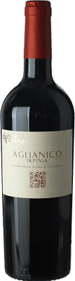 14,95 € Envío gratis | Vino Blanco Vigne Guadagno D.O.C. Irpinia Campania Italia Aglianico 75 cl