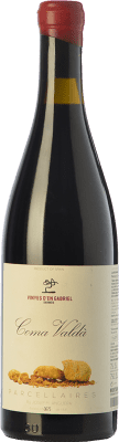 26,95 € Kostenloser Versand | Rotwein Vinyes d'en Gabriel Coma Valdà Alterung D.O. Montsant Katalonien Spanien Carignan Flasche 75 cl