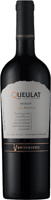 19,95 € Kostenloser Versand | Rotwein Viña Ventisquero Queulat Große Reserve I.G. Valle del Maipo Maipotal Chile Syrah, Carmenère Flasche 75 cl