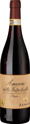65,95 € Free Shipping | Red Wine Cantina Zenato Classic D.O.C.G. Amarone della Valpolicella Veneto Italy Corvina, Rondinella, Oseleta 75 cl