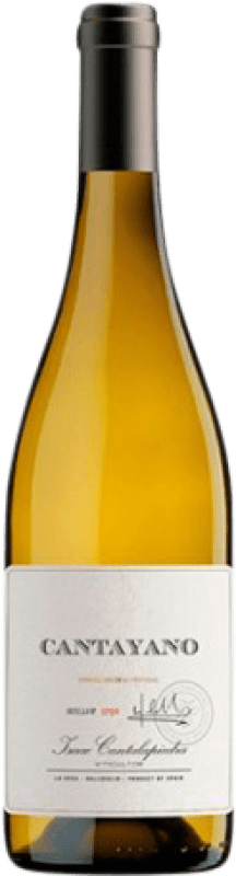 9,95 € Kostenloser Versand | Weißwein Cantalapiedra Cantayano I.G.P. Vino de la Tierra de Castilla Kastilien-La Mancha Spanien Verdejo 75 cl