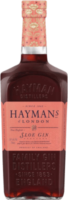 33,95 € Envío gratis | Ginebra Hayman's Sloe Botella 70 cl