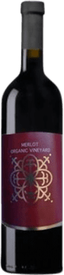 29,95 € Envio grátis | Vinho tinto Recanati Upper I.G. Galilee Galilea Israel Merlot Garrafa 75 cl
