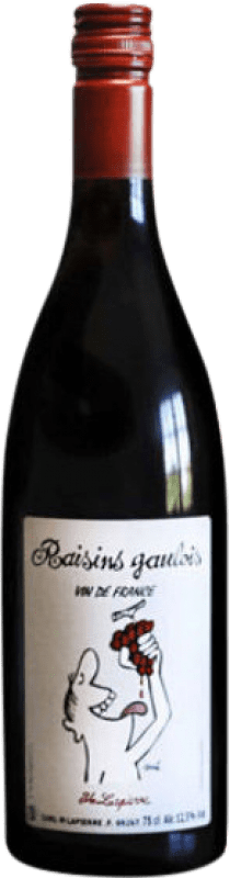 14,95 € 免费送货 | 红葡萄酒 Marcel Lapierre Raisins Gaulois A.O.C. Morgon 博若莱 法国 Gamay — 佳美 Eco — 生态 有机 天然 75 cl