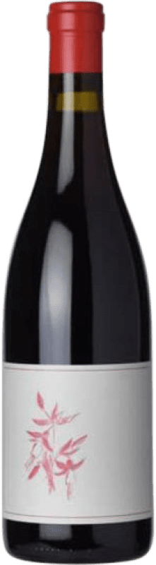 48,95 € Free Shipping | Red wine Arnot-Roberts I.G. El Dorado California United States Gamay Bottle 75 cl