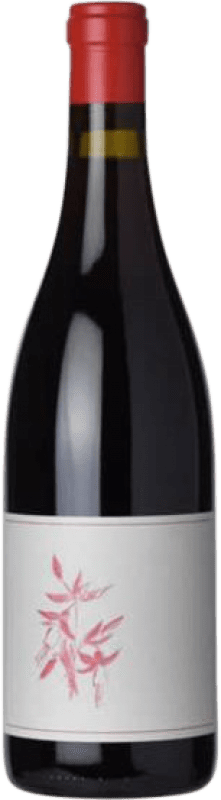 48,95 € Envío gratis | Vino tinto Arnot-Roberts I.G. El Dorado California Estados Unidos Gamay Botella 75 cl